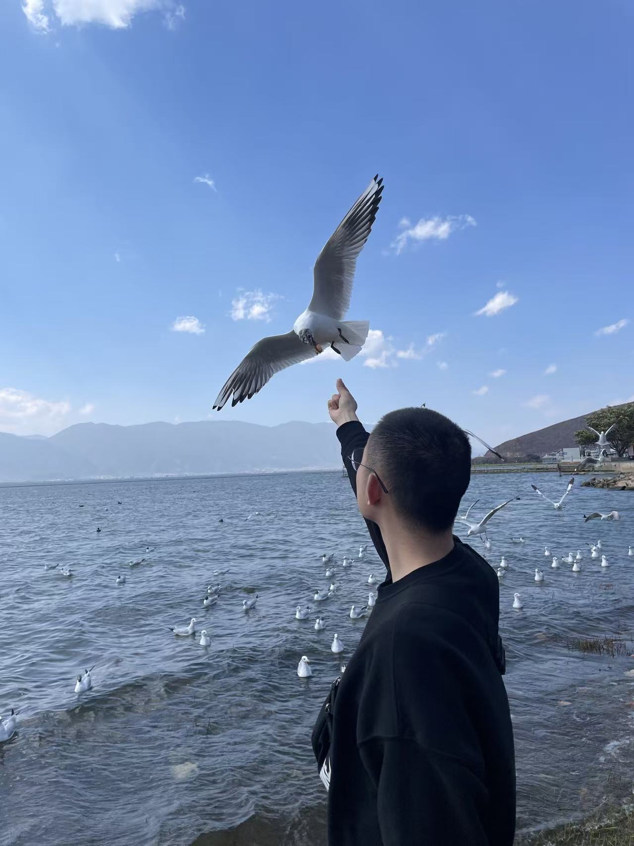 照片4